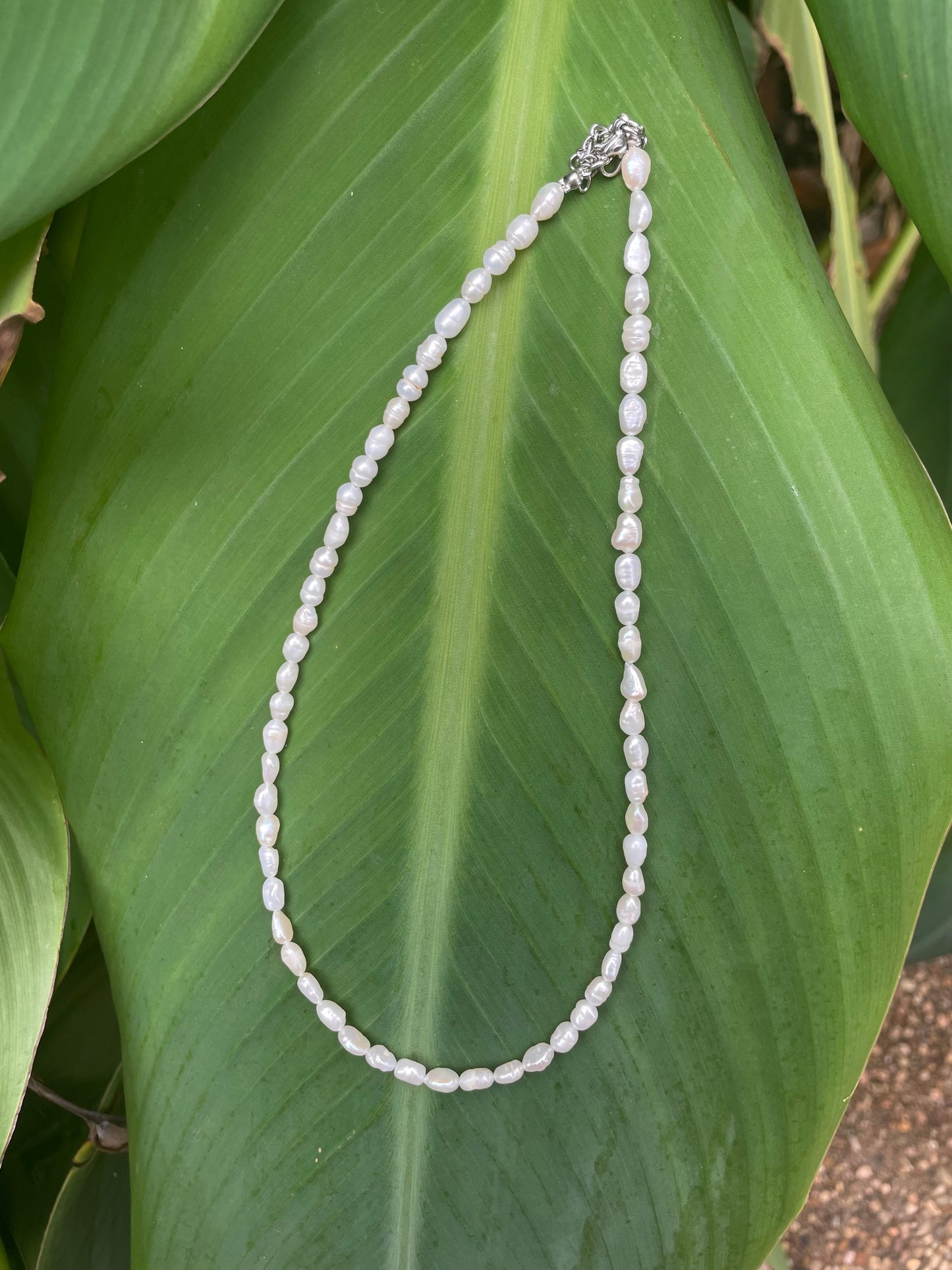 Freshwater Pearl Necklace